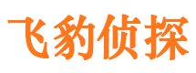 江海市私人侦探